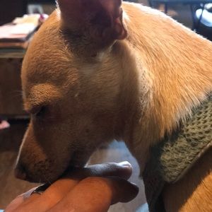 Meet your Posher, Roberto